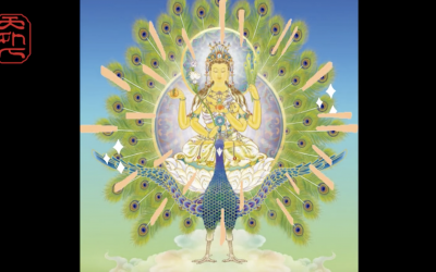 孔雀明王显灵除肺炎病毒，有大福报者才能看到此视频