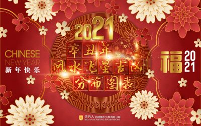 辛丑年 风水飞星吉凶 分布图表